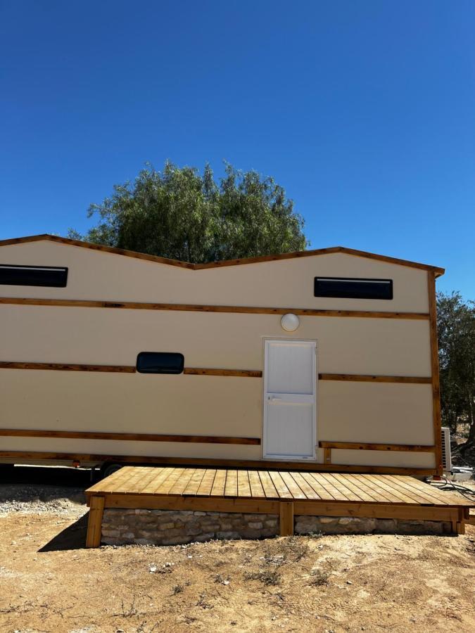 צימראוון בחוות זית המדבר Sde Boqer Extérieur photo